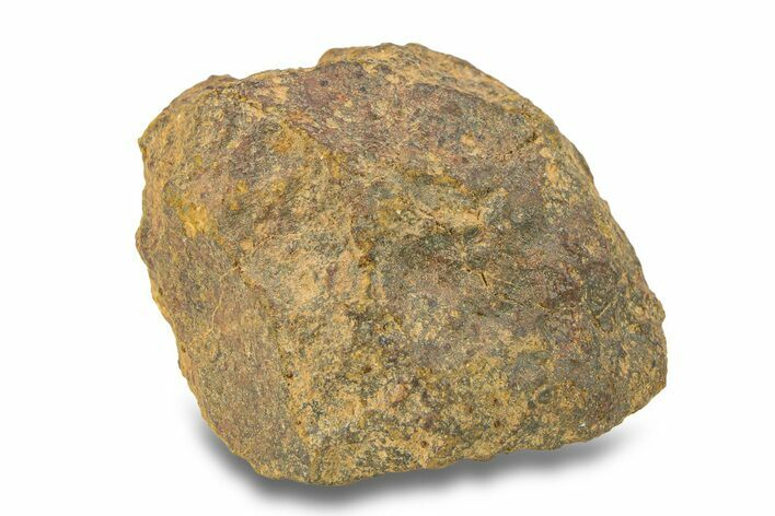 Gold Basin Chondrite Meteorite ( g) - Arizona #282770